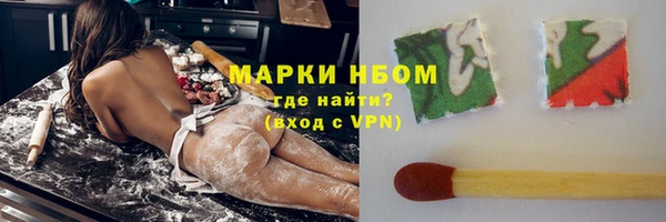 твердый Аркадак