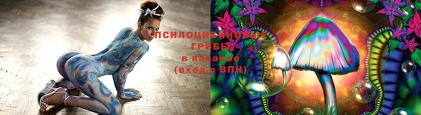 прущие крисы Арсеньев