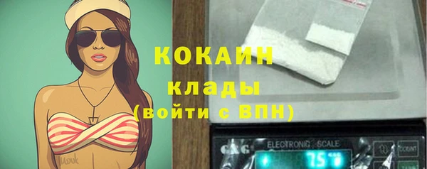 твердый Аркадак
