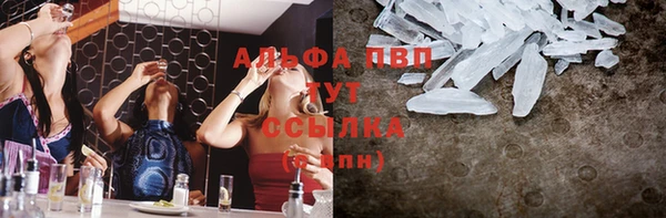 твердый Аркадак