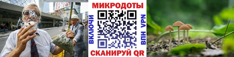 где купить наркоту  Фролово  Галлюциногенные грибы Psilocybine cubensis 