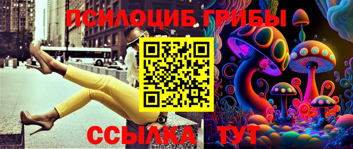Псилоцибиновые грибы ЛСД  Вход с VPN  Фролово  Галлюциногенные грибы Psilocybe 