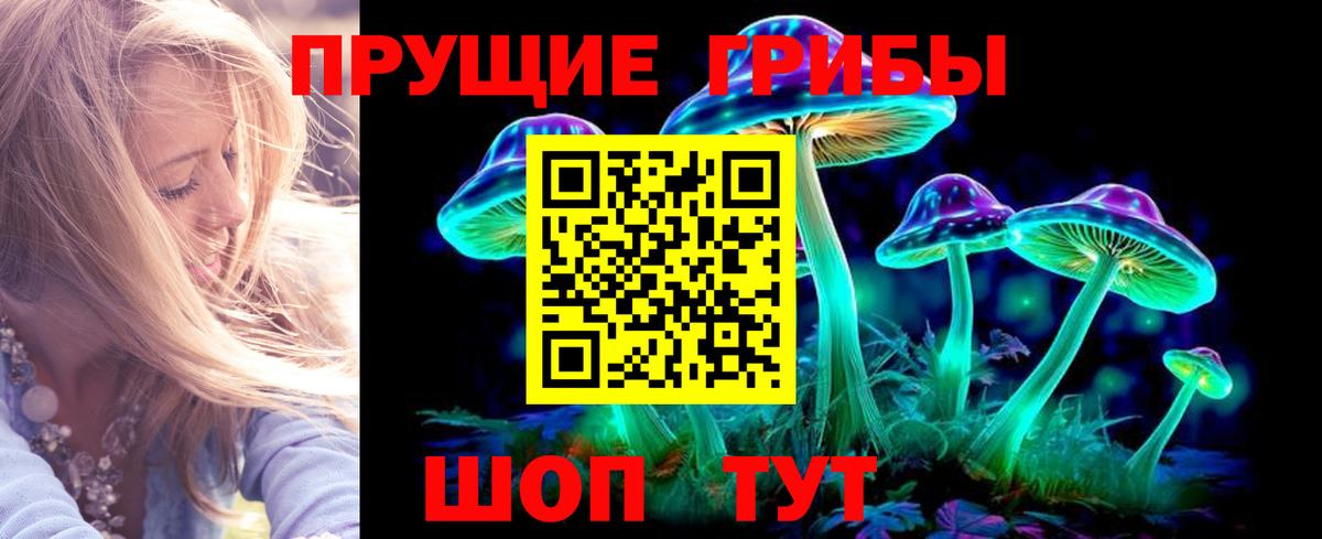 Псилоцибиновые грибы мицелий Фролово